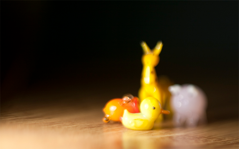Illustration for article titled Shooting Challenge Freelensing Gallery 1